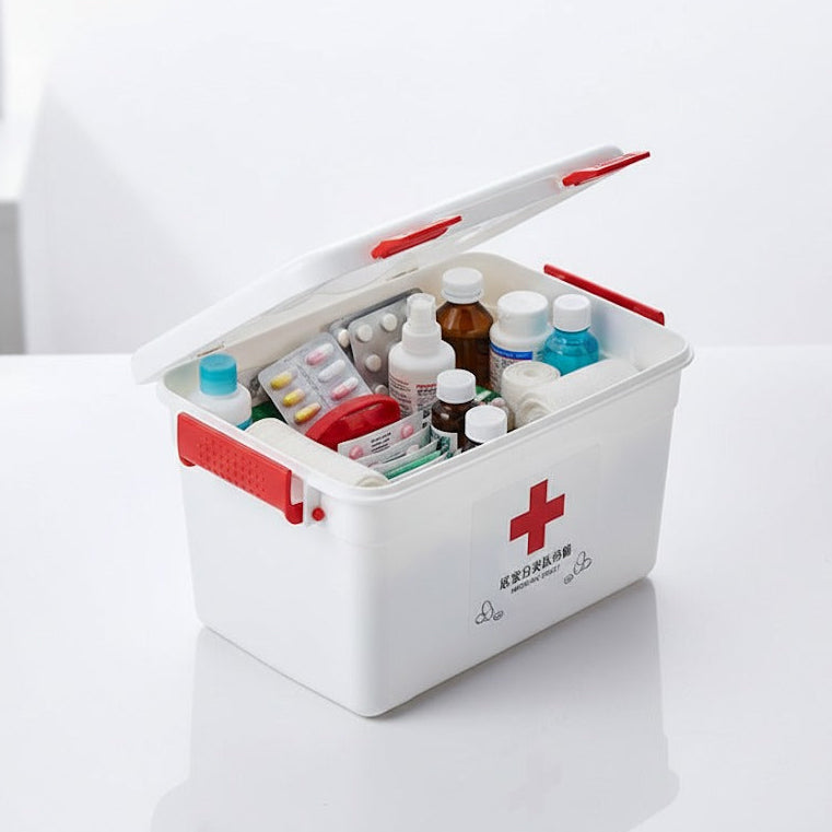 Travel Medicine Storage Box Regular
